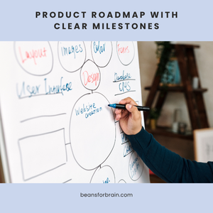 Product roadmap showing project milestones and steps for product launch
