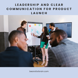 Product leader communicating the strategy to the team